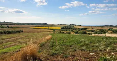 Parcela en Kassandrino, Grecia
