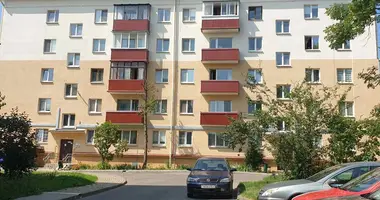 1 bedroom apartment in Minsk, Belarus