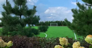 Casa 2 habitaciones en Lymanka, Ucrania