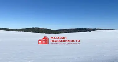 Casa 2 habitaciones en Sapockinski sielski Saviet, Belarús