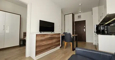 1 bedroom apartment in All countries