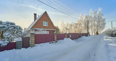 House in Dziamidavicki sielski Saviet, Belarus