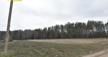 Działka w Piekalin, Białoruś