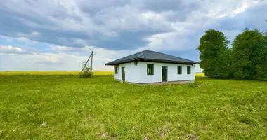 Дом в Добринёвский сельский Совет, Беларусь