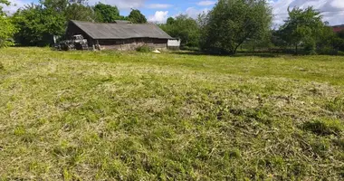 Plot of land in Sienicki sielski Saviet, Belarus