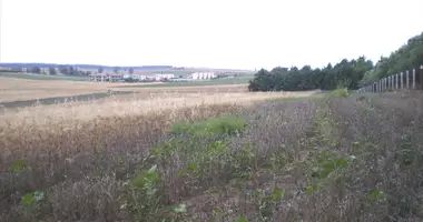 Plot of land in Kassandra Municipality, Greece