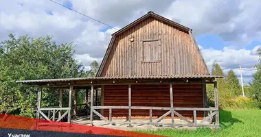 House in Zodzinski sielski Saviet, Belarus