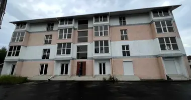 Apartamento 1 habitación en Lymanka, Ucrania
