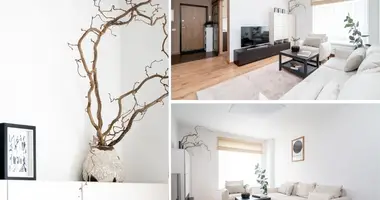 3 room apartment in Vilnius, Lithuania