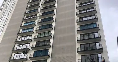 1 Bedroom Apartment for Rent in Tbilisi в Тбилиси, Грузия