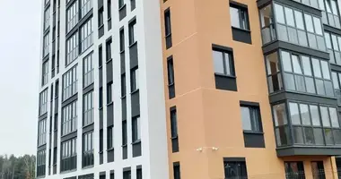 Apartment in Kopishche, Belarus