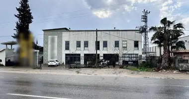 Zakład produkcyjny 10 m² w Nacarli, Turcja