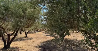 Parcela en Region of Crete, Grecia