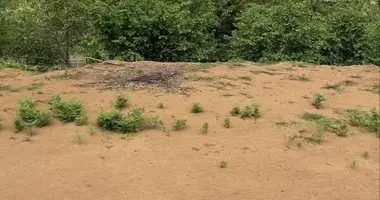 Plot of land in Tkhilnari, Georgia
