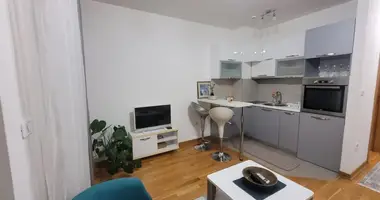 1 room studio apartment in 14 a, Montenegro