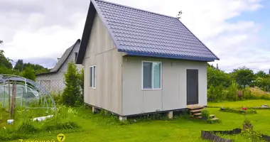 Дом в Олехновичский сельский Совет, Беларусь