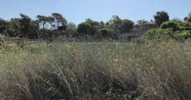 Квартира в Мони, Кипр