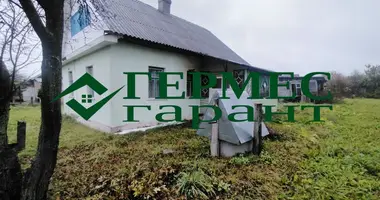 Haus in Dzyatlava, Belarus