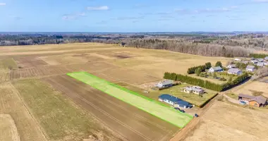 Terrain dans Plunge, Lituanie
