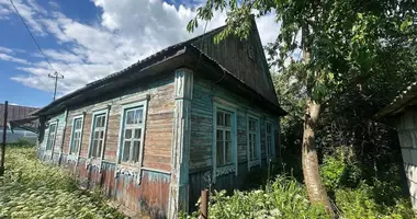 House in Sluck, Belarus