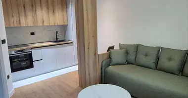 Wohnung 1 zimmer in Miloja Pavlovica, Montenegro