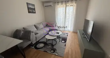 1 bedroom apartment in Podgorica, Montenegro