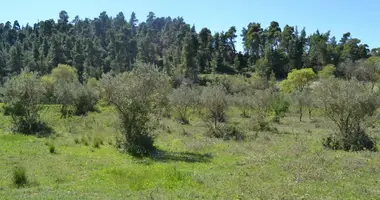 Terrain dans Fourka, Grèce