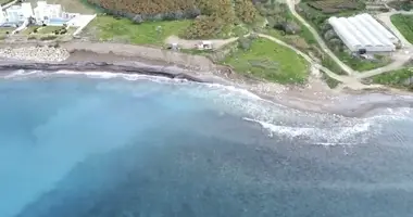 Plot of land in Kissonerga, Cyprus