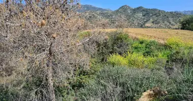 Appartement dans Kalo Chorio Lemesou, Chypre
