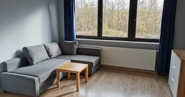 Studio apartment 1 bedroom in Warsaw, Poland
