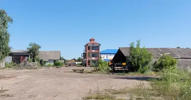 Nieruchomości komercyjne 55 m² w Kalinkowicze, Białoruś