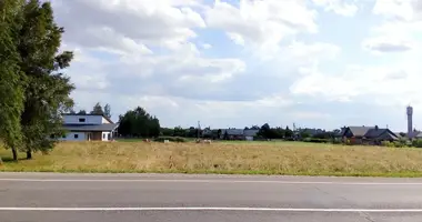 Parcela en Raseiniai, Lituania