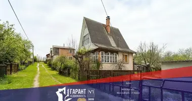 House in Zdanovicki sielski Saviet, Belarus