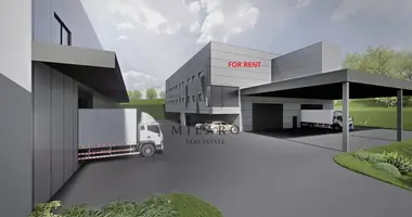 FOR RENT A NEW INDUSTRIAL BUILDING в Zidani Most, Словения