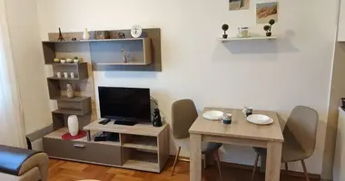 Wohnung 1 Schlafzimmer in Montenegro