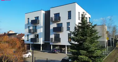 Appartement 2 chambres dans Kaunas, Lituanie