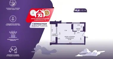 1 room apartment in Minsk, Belarus