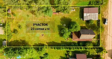 House in Zabalocki sielski Saviet, Belarus