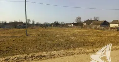 Участок земли в Чернавчицкий сельский Совет, Беларусь