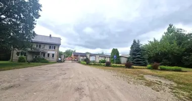 Commercial property 1 200 m² in Kedainiai, Lithuania