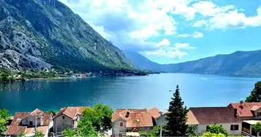 Готовый бизнес 400 м² в Ораховац, Косово