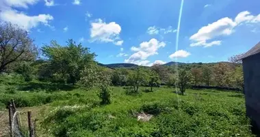 Участок земли в Тетрицкаройский муниципалитет, Грузия