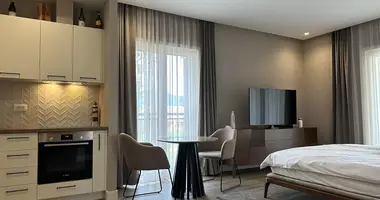 Apartamento 1 habitacion en Radovici, Montenegro