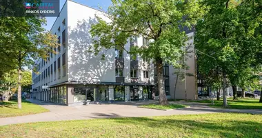 Propiedad comercial 51 m² en Vilna, Lituania