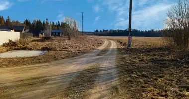 Участок земли в Гатчинский муниципальный округ, Россия