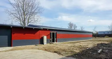 Propriété commerciale 306 m² dans Panevėžys, Lituanie