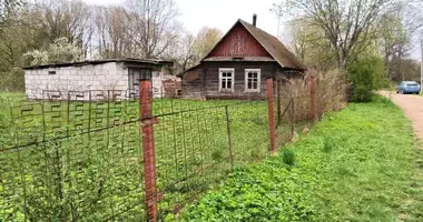 Haus in Pliski sielski Saviet, Belarus
