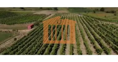 Участок земли в Koxhas, Албания