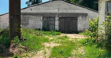 Produktion 171 m² in Karelichy, Belarus