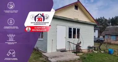 House in Zodzinski sielski Saviet, Belarus